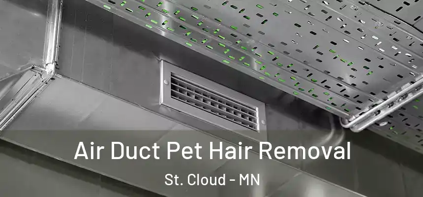 Air Duct Pet Hair Removal St. Cloud - MN