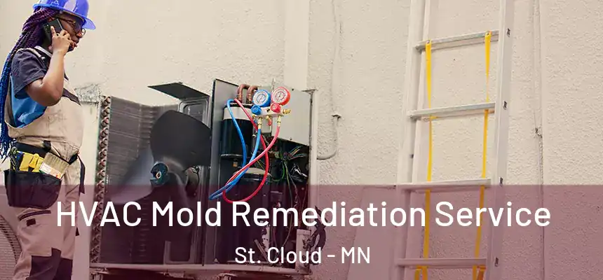  HVAC Mold Remediation Service St. Cloud - MN