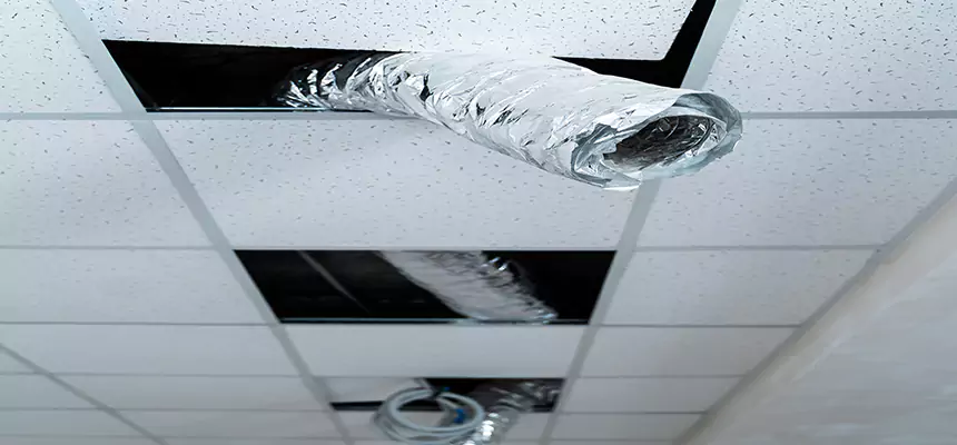 Affordable HVAC Sanitizing After Pest Removal in St. Cloud