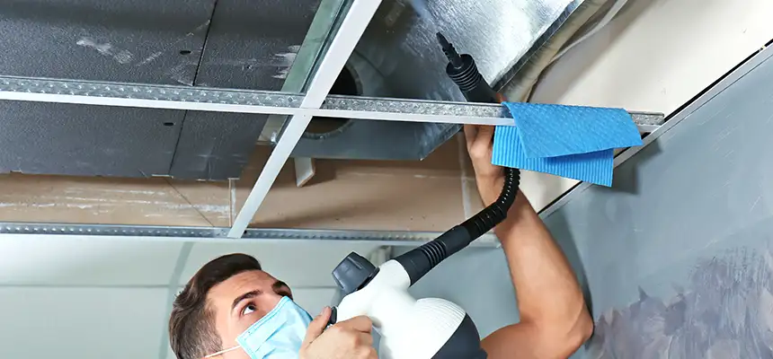 Our Air Duct Rodent Removal Services in St. Cloud, MN