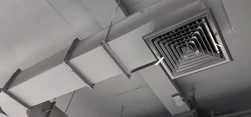 Restorative Allergy Relief Vent Cleaning – Coil, Blower & Housing Detail in St. Cloud