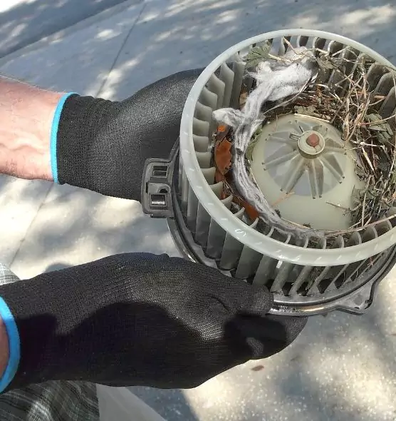 About Air Duct Rat Removal in St. Cloud, MN