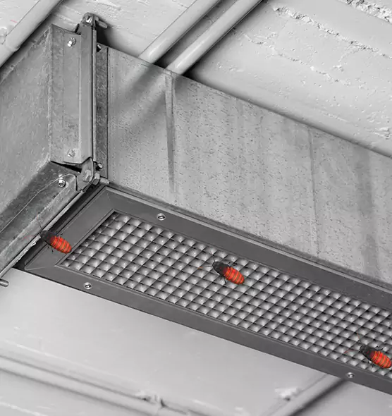 Affordable Insect Removal from Air Ducts in St. Cloud, MN